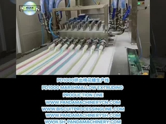 PD1000 LÍNIA DE PRODUCCIÓN DE EXTRUSIÓN DE MARSHMALLOW Fabricación de maquinaria y equipo de maquinaria