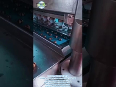 PD1000 Línea de producción de galletas de doble color totalmente automática