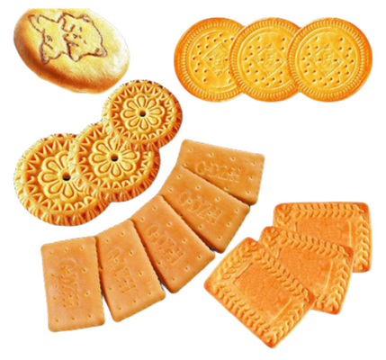 4 In 1 Biscuit Production Line Fully Automatic Biscuit Line For Hard Soft Sandwich Chocolate Coating Biscuit 500KG/H